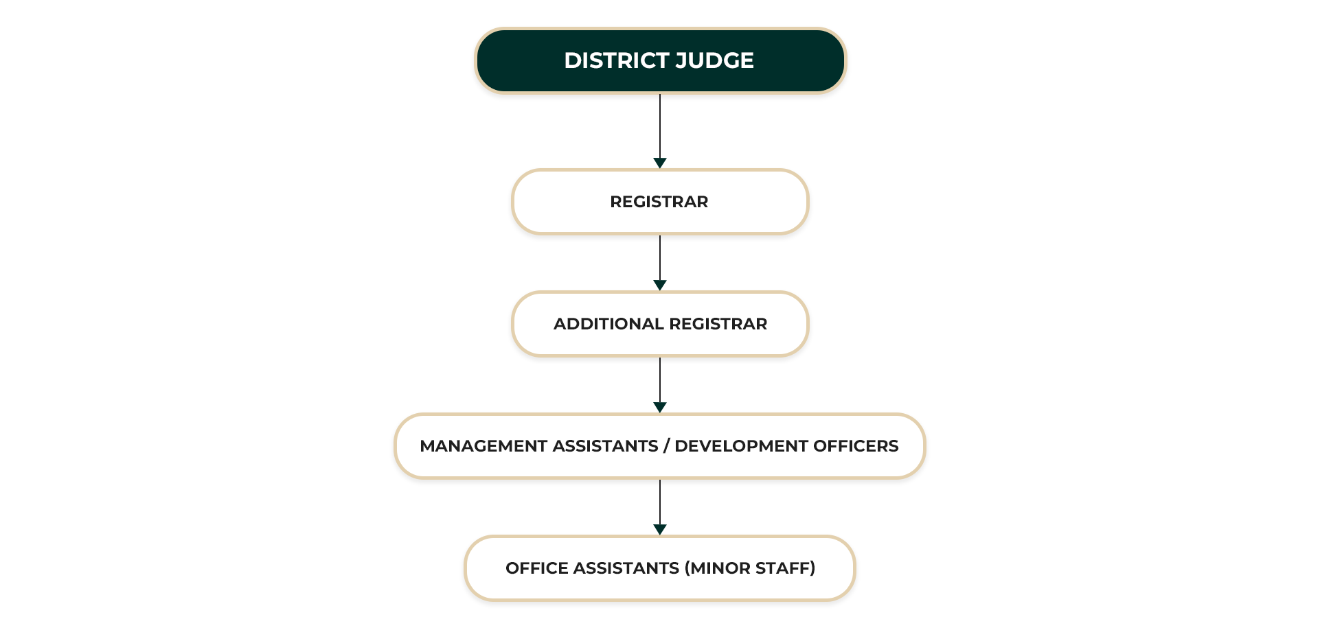 District Court Nawalapitiya ORGANIZATIONAL STRUCTURE